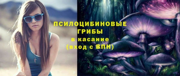 меф Арсеньев