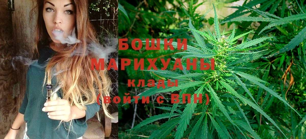 меф Арсеньев